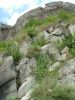 dscf2435.jpg