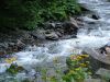 dscf2570.jpg